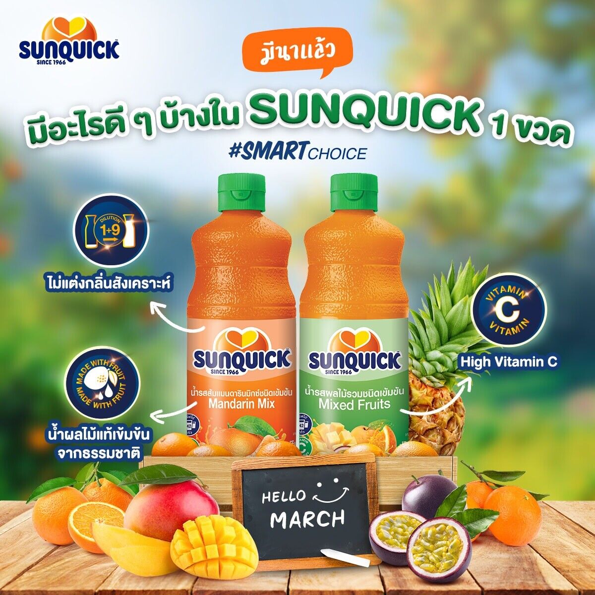 SUNQUICK concentrate fruit juice orange, mix fruits beverage dessert mixer Party
