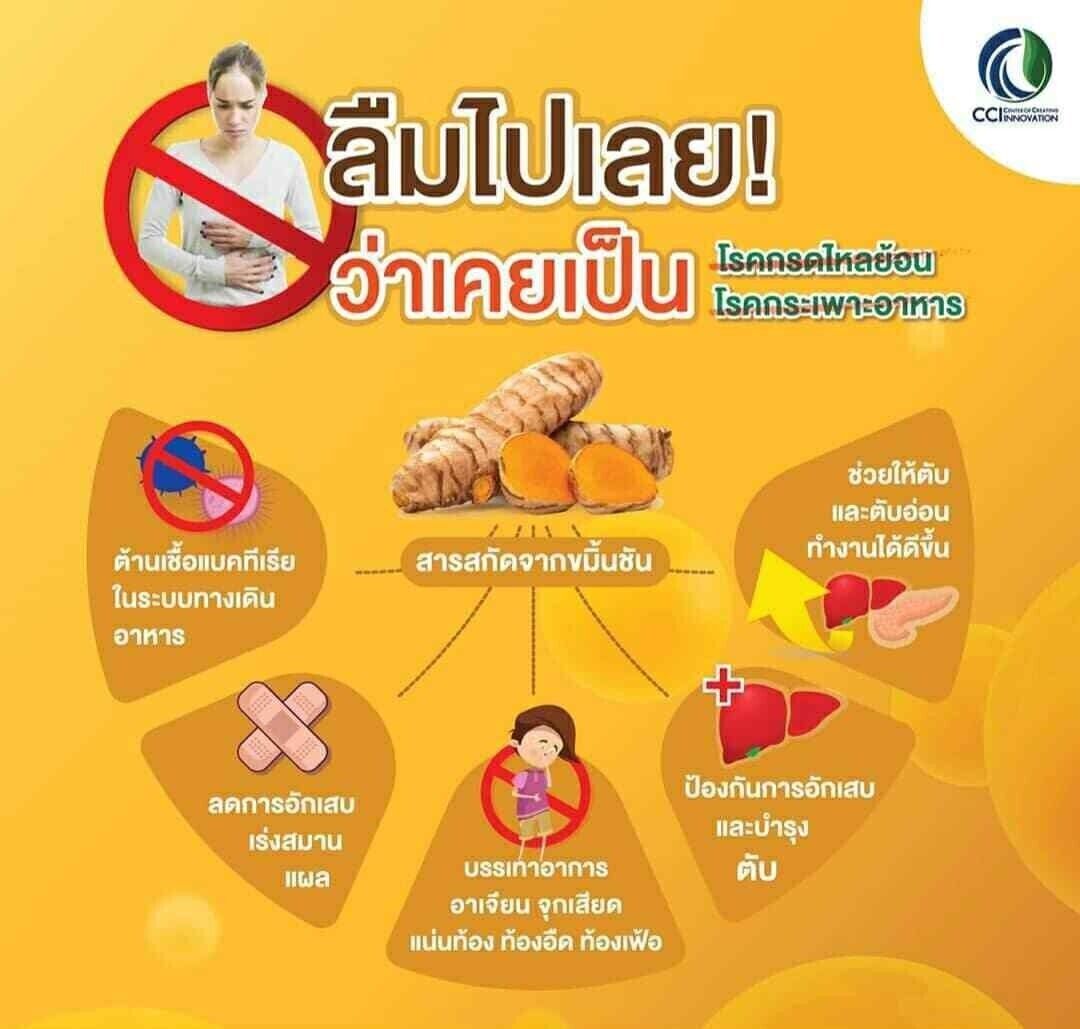 30 capsules GREEN CURMIN Thai Herbal Supplement For Indigestion Relieve acid