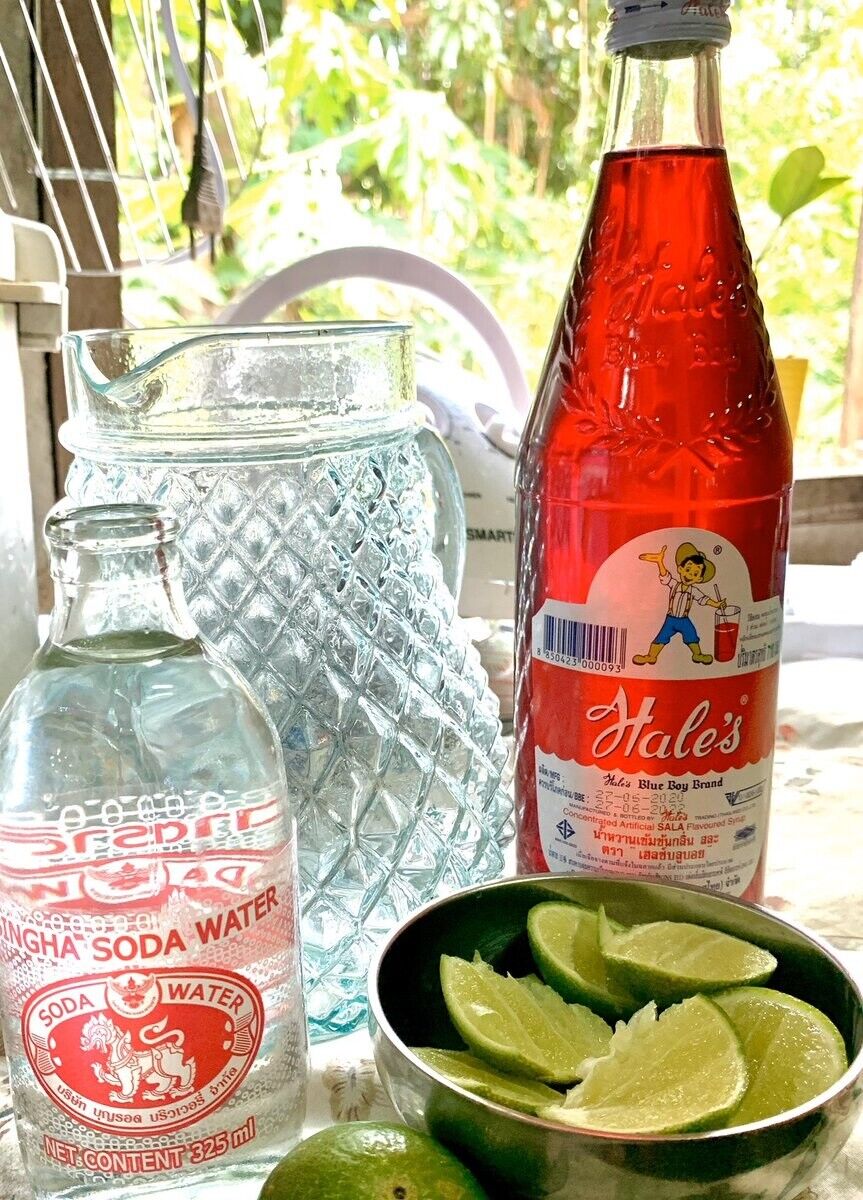 Hales Blue Boy Nectar Concentrated Artificial SALA & Cream Soda Flavored Syrup